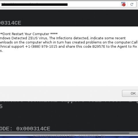 Serviceprovider342.site