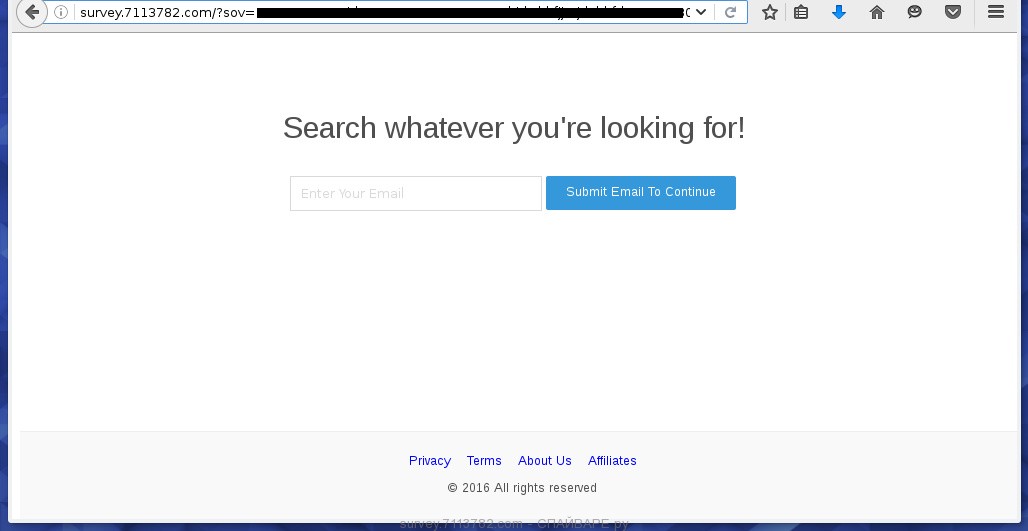 survey.7113782.com