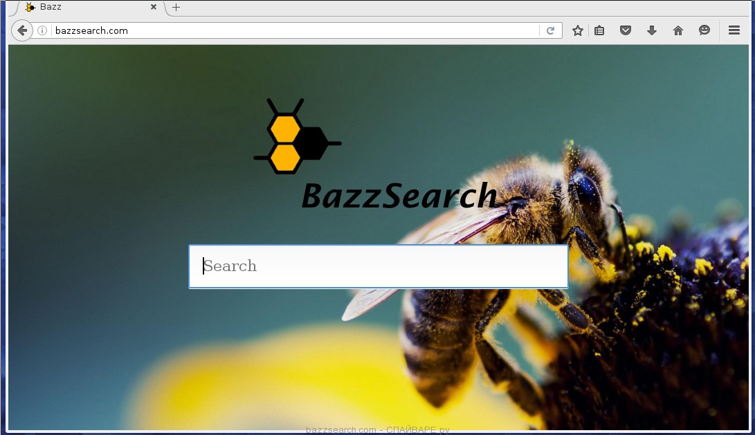 bazzsearch.com