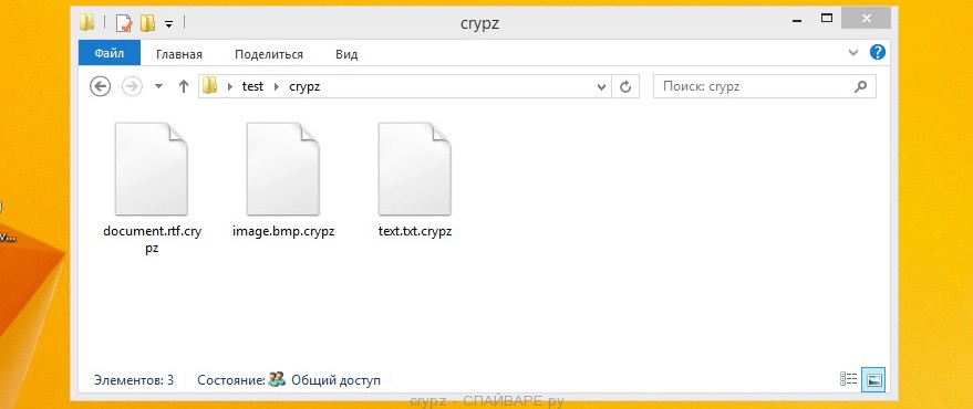 crypz файлы
