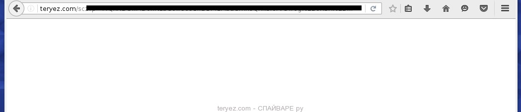 teryez.com