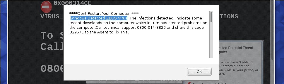 Windows Detected ZEUS Virus