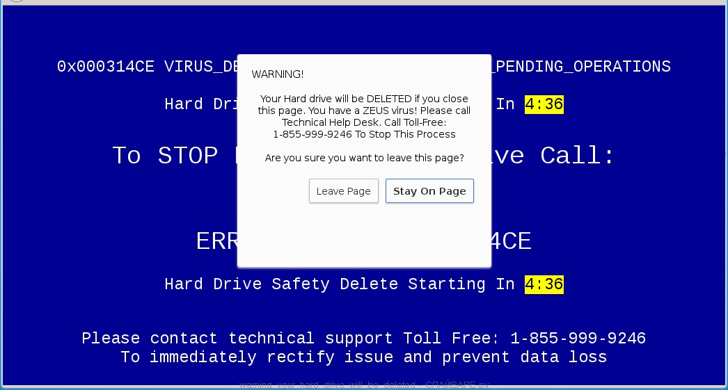WARNING - Your Hard drive will be DELETED