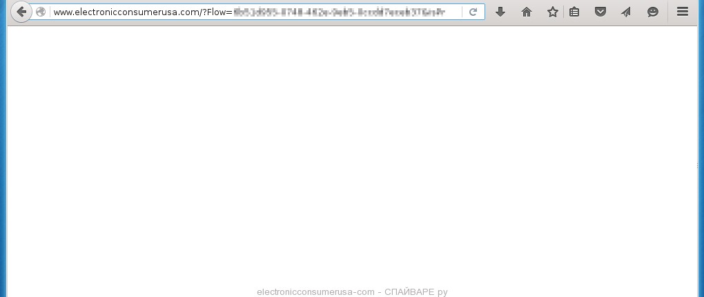 electronicconsumerusa-com