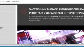 24reporter.ru