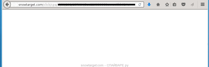 snowtarget.com