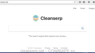 cleanserp.net