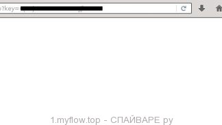 1.myflow.top