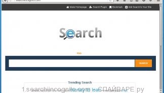 1.searchiincognito.com