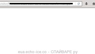 eua.echo-ice.co