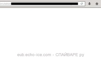 eub.echo-ice.com