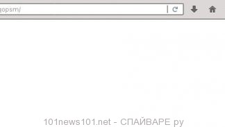 101news101.net