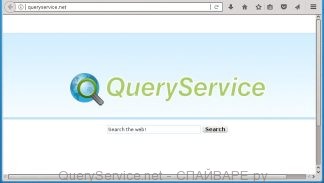 QueryService.net