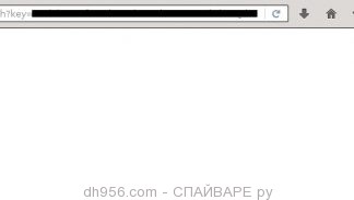 dh956.com