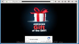 lifegoalie.com