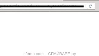nfemo.com