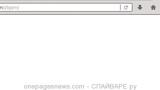 onepagesnews.com