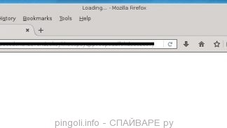 pingoli.info