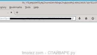 tmorez.com