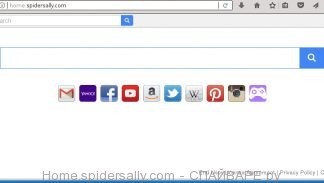 Home.spidersally.com