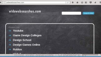 Wide Web Searches