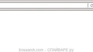 bvsearch.com