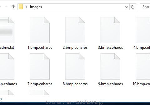 Файлы зашифрованные Coharos вирусом