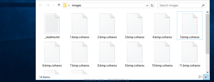 Файлы зашифрованные Coharos вирусом
