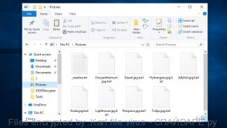Files encrypted by .Karl file virus