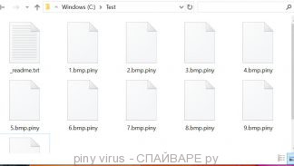 piny ransomware virus