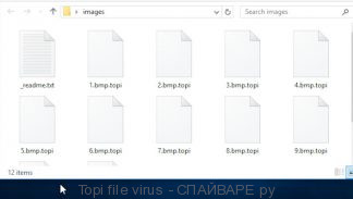 Topi файл вирус-шифровальщик