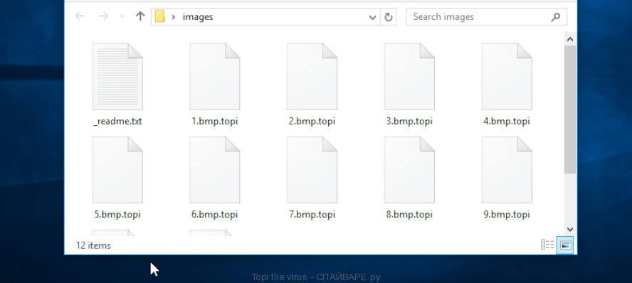 Topi файл вирус-шифровальщик