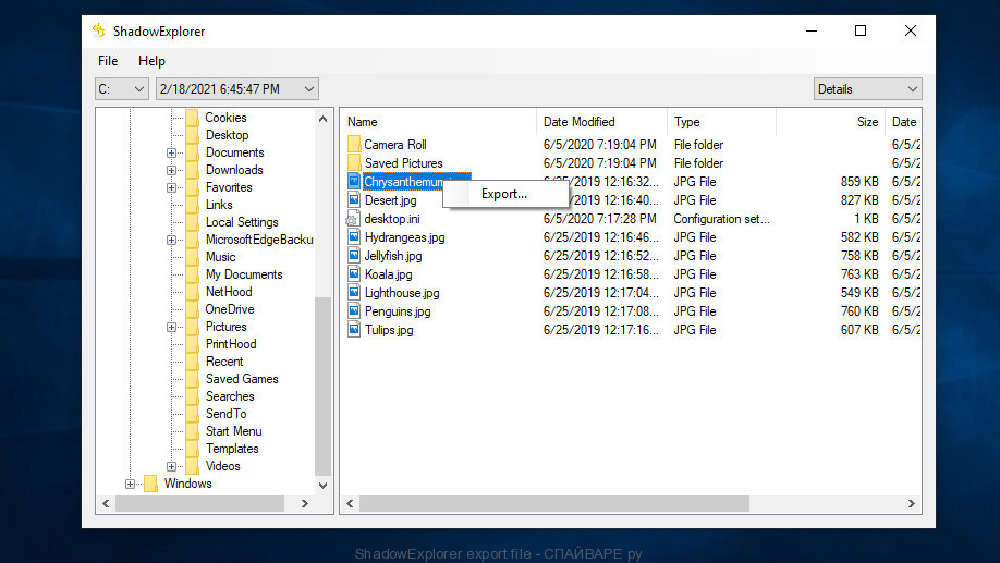 ShadowExplorer export file