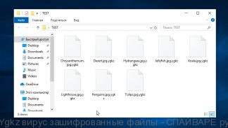 Ygkz вирус зашифрованные файлы