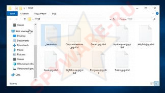 ribd вирус